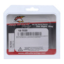 All Balls Racing Brake Pin Kit (18-7030)