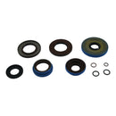 Transaxle Seal Kit 25-2085-5