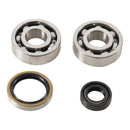 Main Bearing and Seal Kit