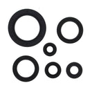 Oil Seal Kit 822978