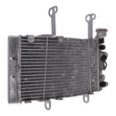 Whites Radiator KTM/Husqvarna 450 Rally / FR450 Rally '19-'22