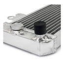 Whites Radiator Kawasaki Ninja 300 '13-'17